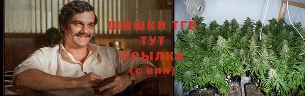 2c-b Мегион