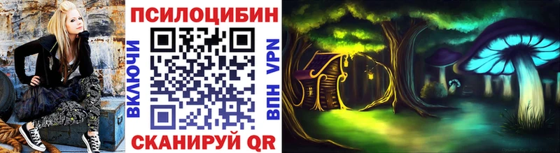 Галлюциногенные грибы Psilocybine cubensis как найти наркотики Долгопрудный