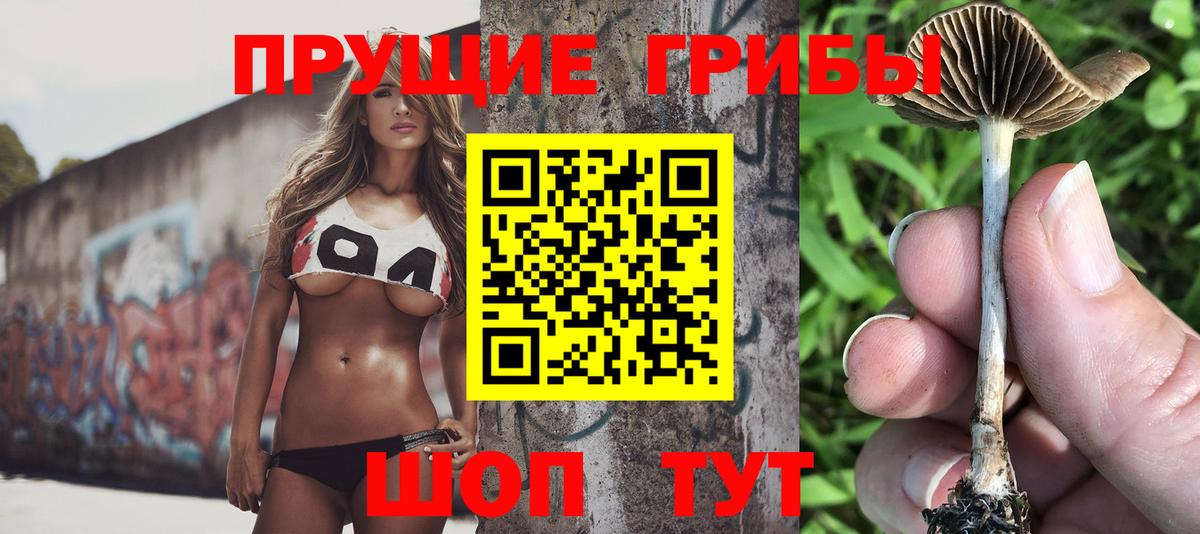 Долгопрудный  Галлюциногенные грибы Psilocybe  Вход с VPN 