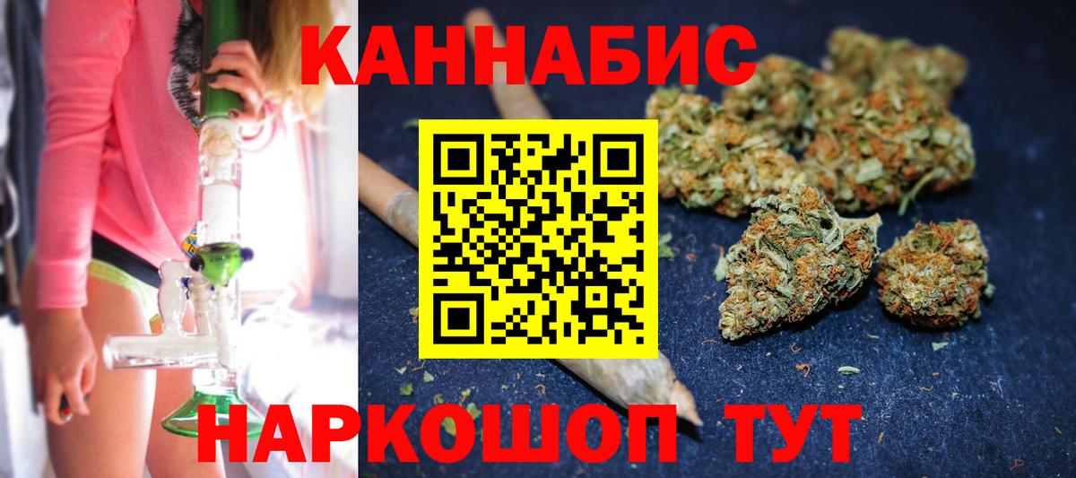 Бошки Шишки White Widow  Канабис план  Долгопрудный  МАРИХУАНА сатива  Вход с VPN 