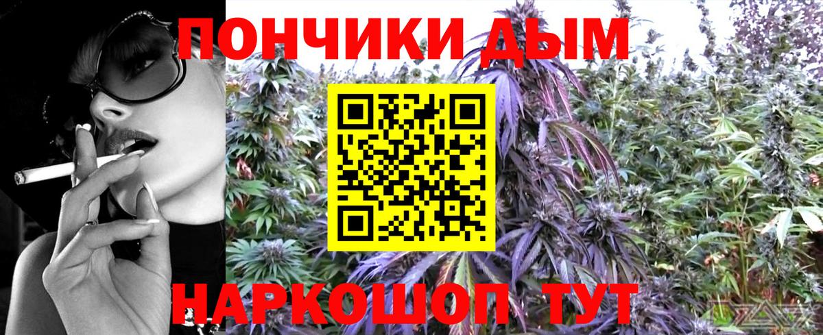 Каннабис семена  Долгопрудный  Конопля ГИДРОПОН  Марихуана LSD WEED 